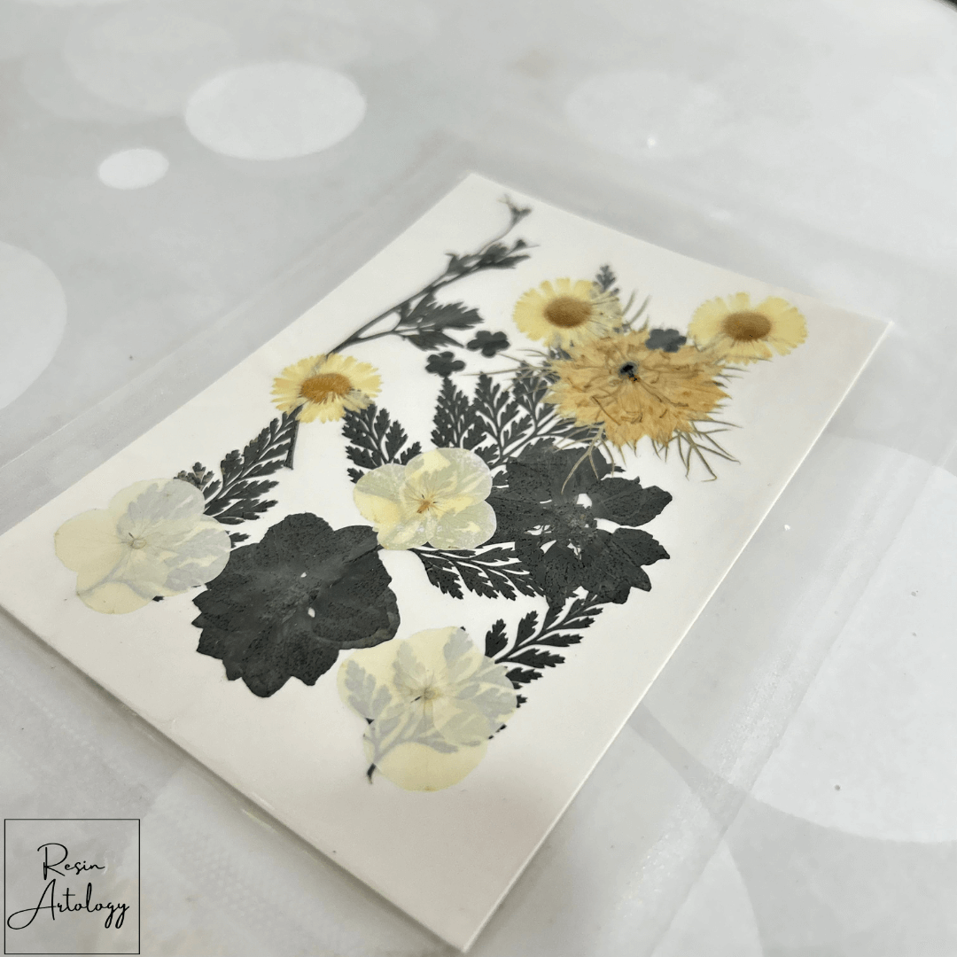 18 In 1 Dry Pressed Flowers BLACK AND WHITE collection featuring black and white floral designs on a white background.