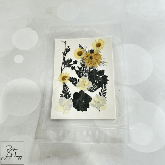 18 In 1 Dry Pressed Flowers BLACK AND WHITE collection featuring pressed floral designs on a light background.