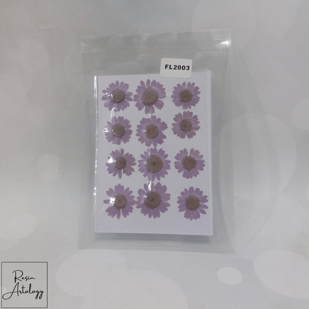 12 In 1 Dry Pressed flowers ( LAVENDER ) (BULK)