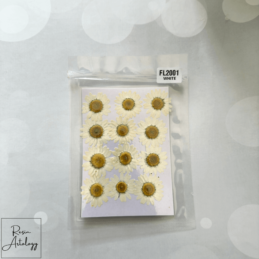 12 In 1 Dry Pressed flowers ( WHITE )