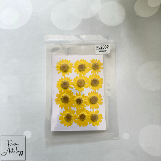 12 In 1 Dry Pressed flowers ( YELLOW )