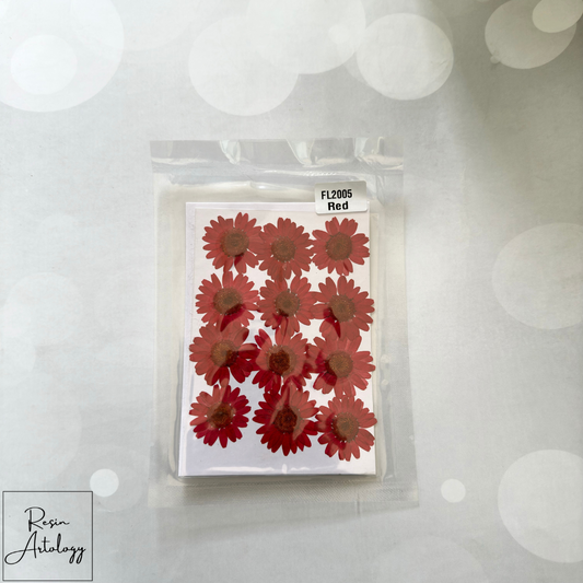 12 In 1 Dry Pressed flowers ( RED )