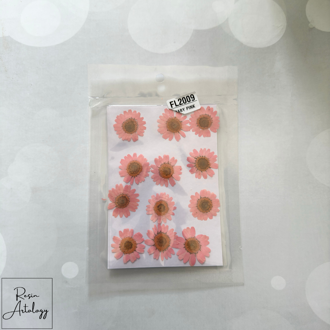 12 In 1 Dry Pressed flowers ( BABY PINK )