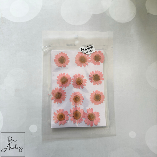 12 In 1 Dry Pressed flowers ( BABY PINK )