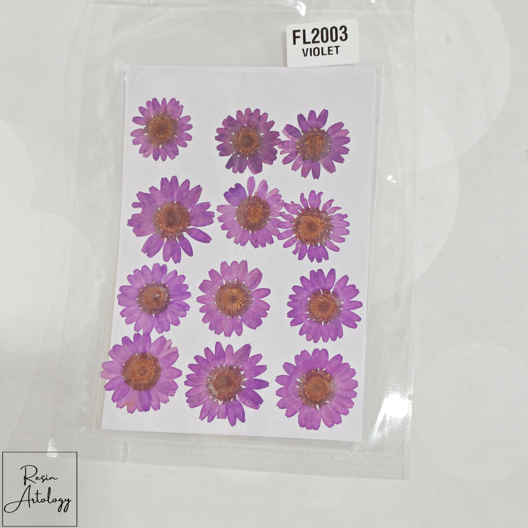 12 In 1 Dry Pressed flowers ( VIOLET )