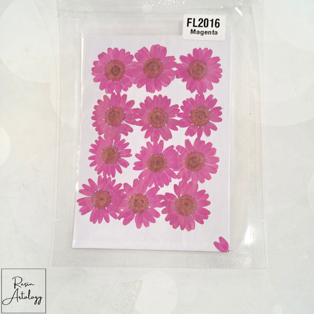 12 In 1 Dry Pressed flowers ( MAGENTA )