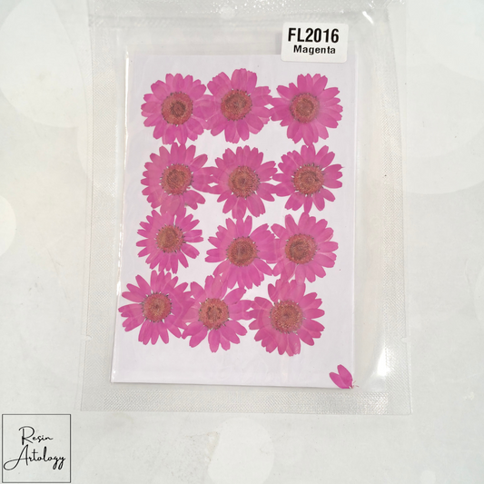 12 In 1 Dry Pressed flowers ( MAGENTA )