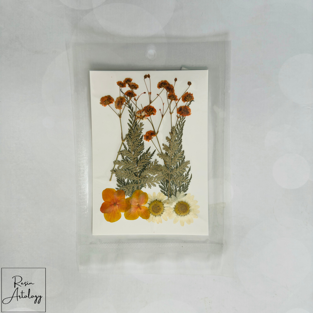 10 in 1 Pressed Flower Orange