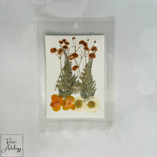 10 in 1 Pressed Flower Orange