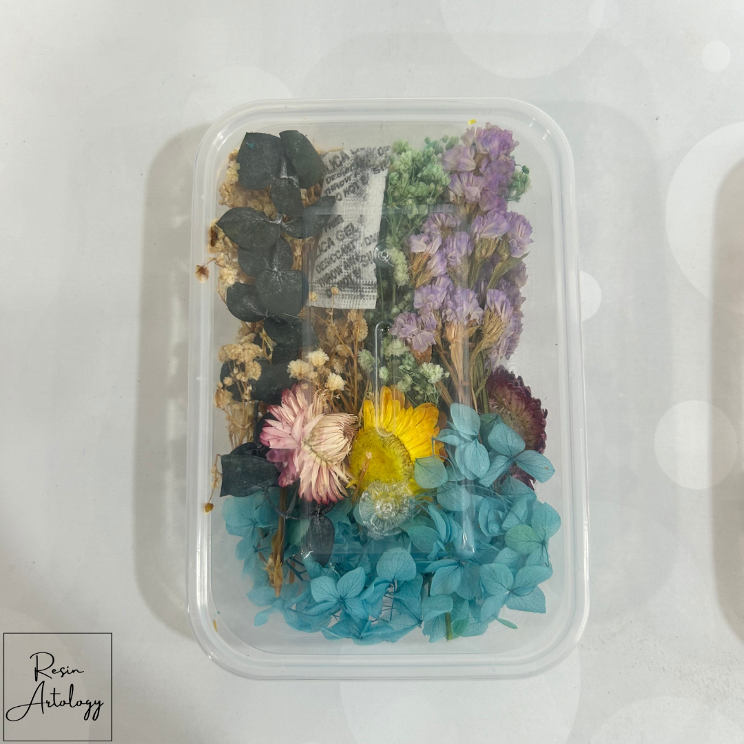 dry flower box 19 B