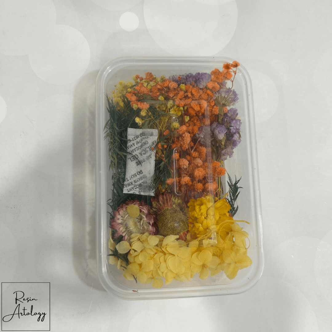 dry flower box 19