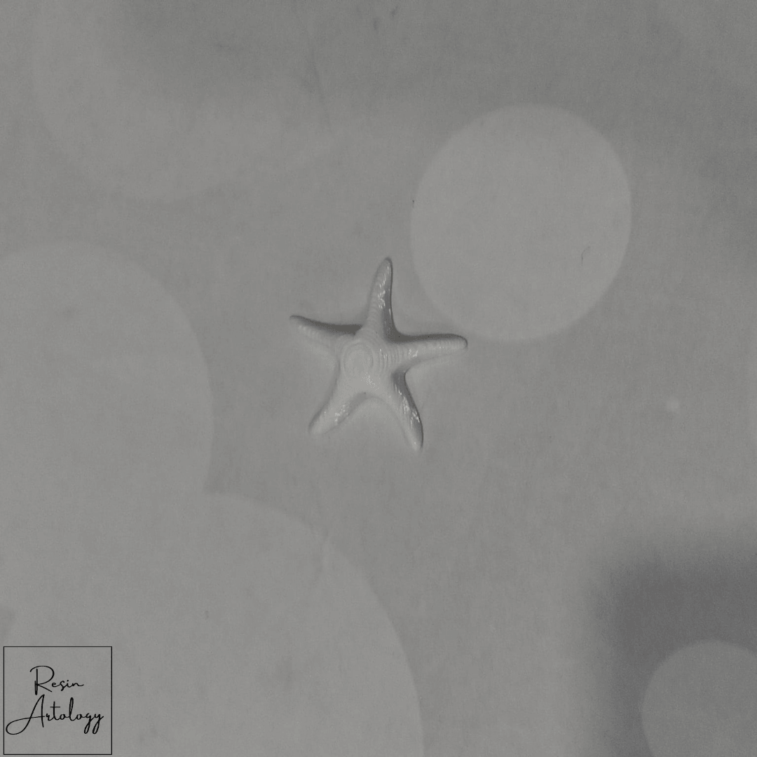 STAR FISH MINIATURE (BULK)