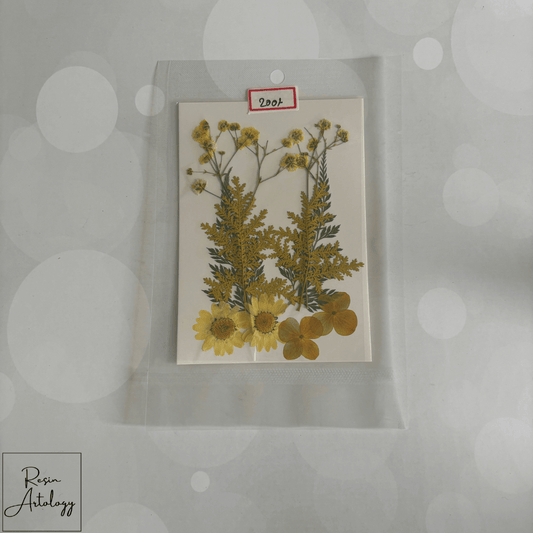 Dry flower Yellow