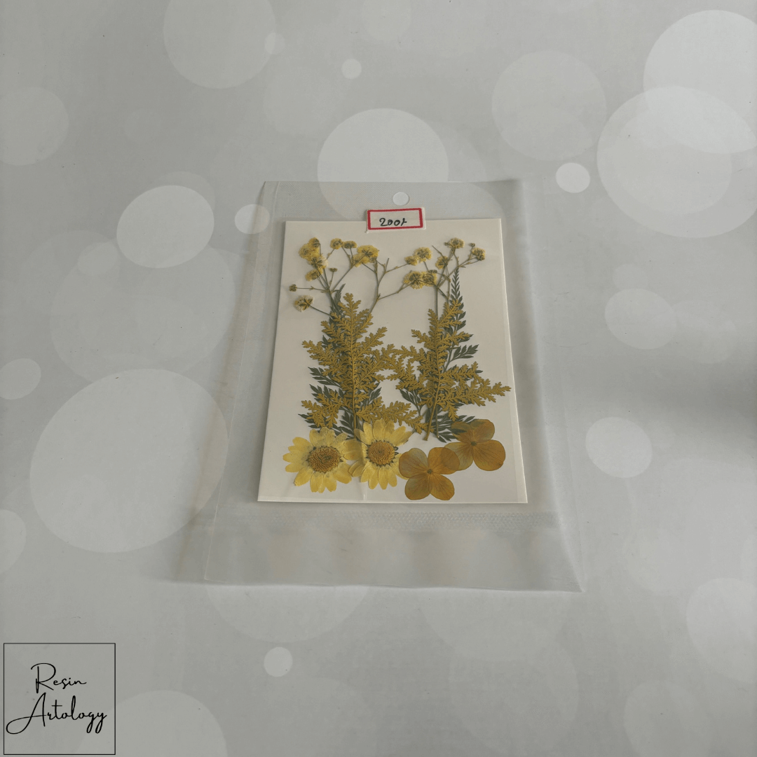 Dry flower Yellow