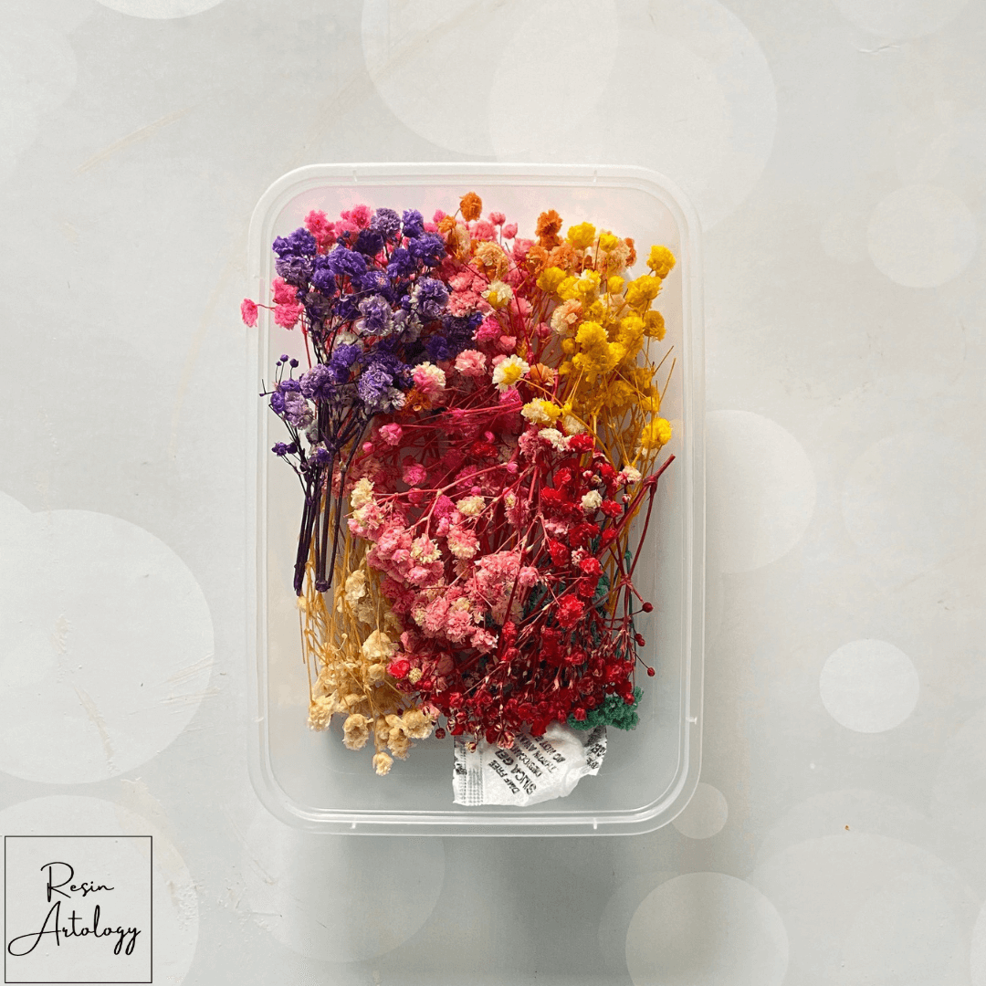 dry flower box 14