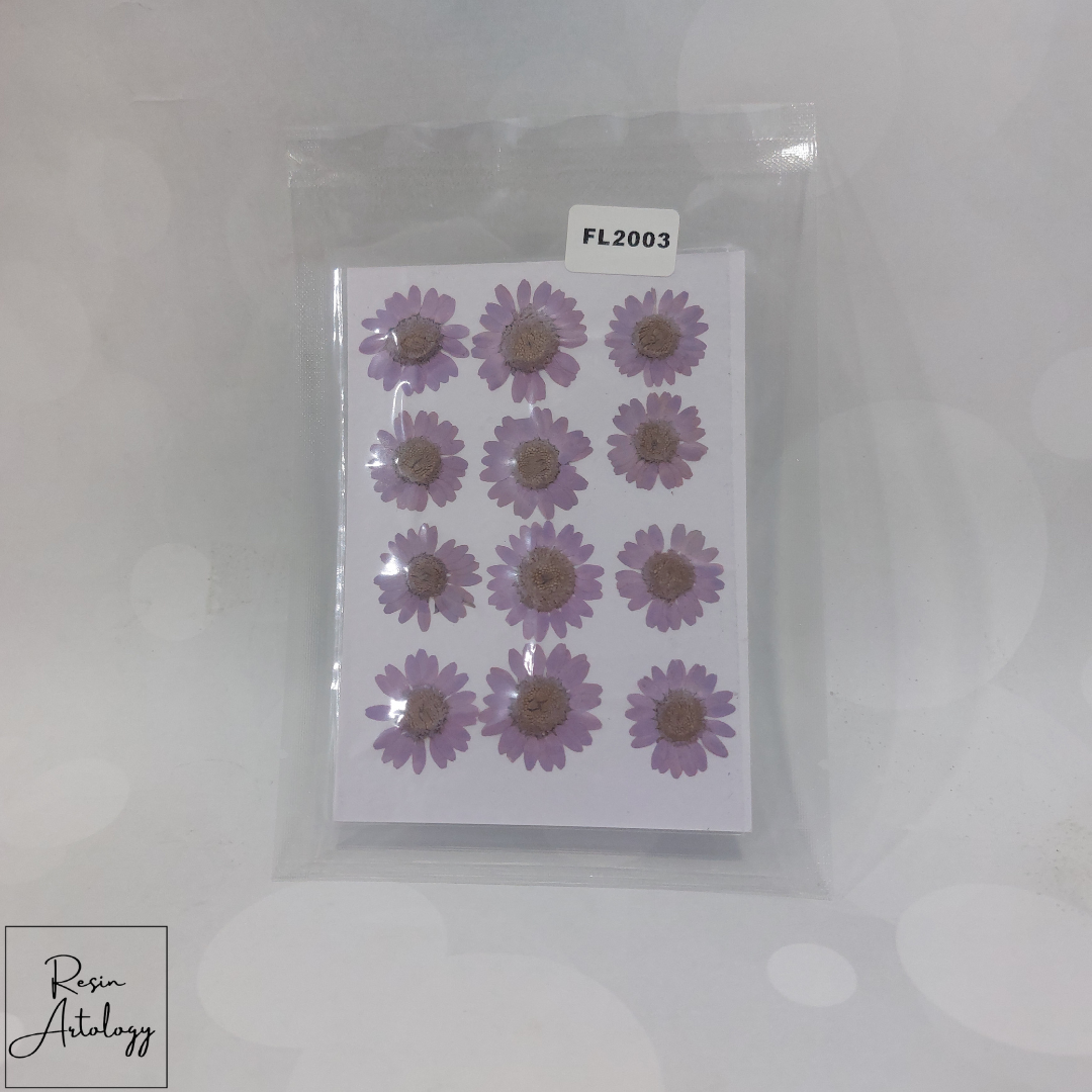12 In 1 Dry Pressed flowers ( LAVENDER ) (BULK)