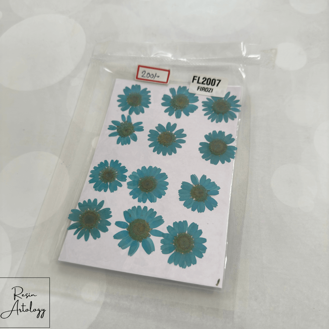 12 In 1 Dry Pressed Flowers Blue