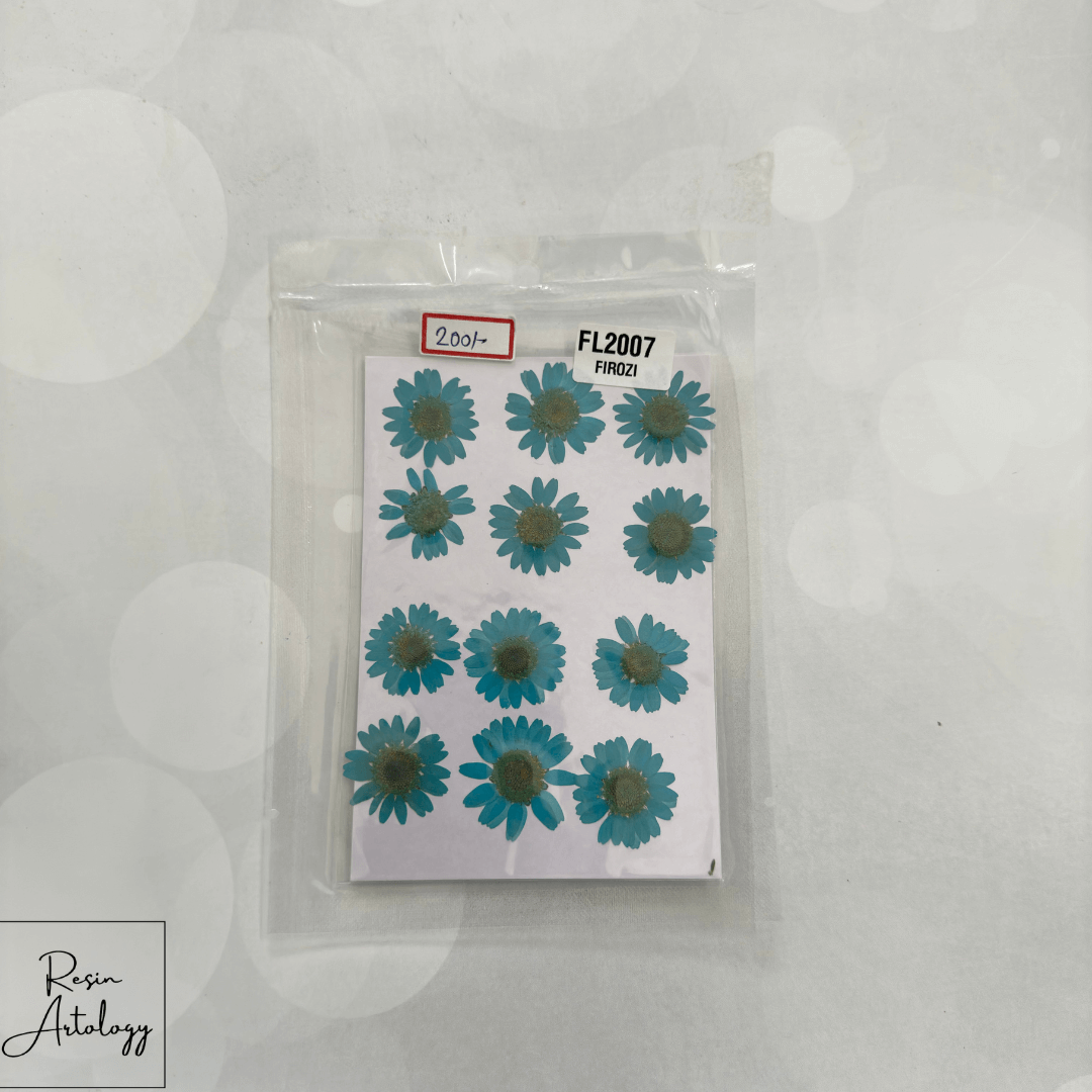 12 In 1 Dry Pressed Flowers Blue