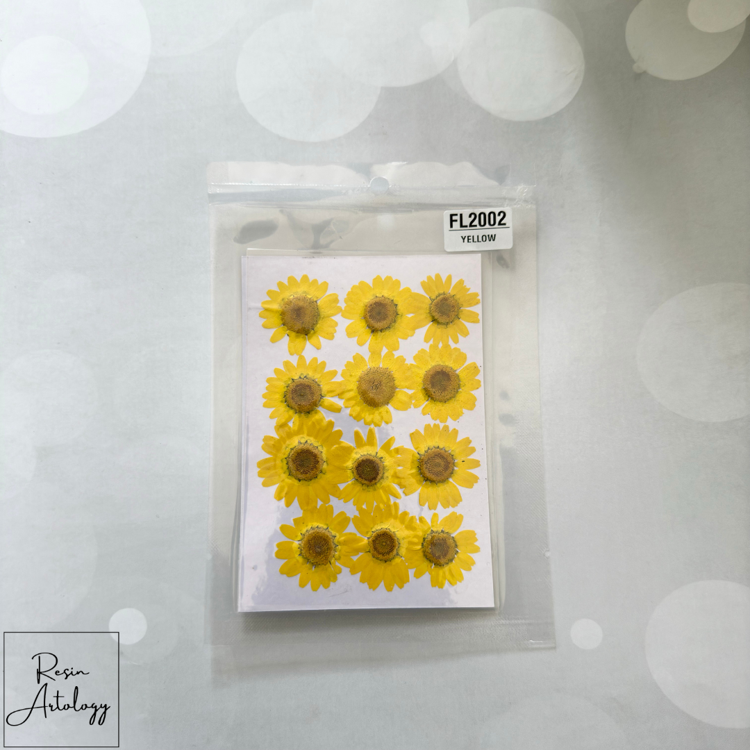 12 In 1 Dry Pressed flowers ( YELLOW )