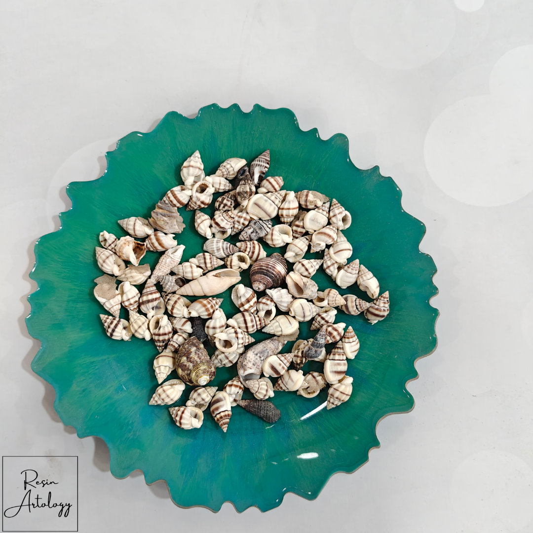 Reshin Shell BROWN SEA SHELLS – Resin Artology