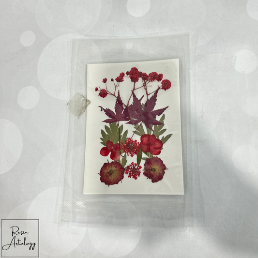 12 In 1 Dry Pressed Flowers orange red and pink