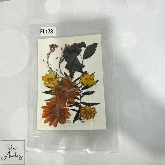 12 In 1 Dry Pressed Flowers orange