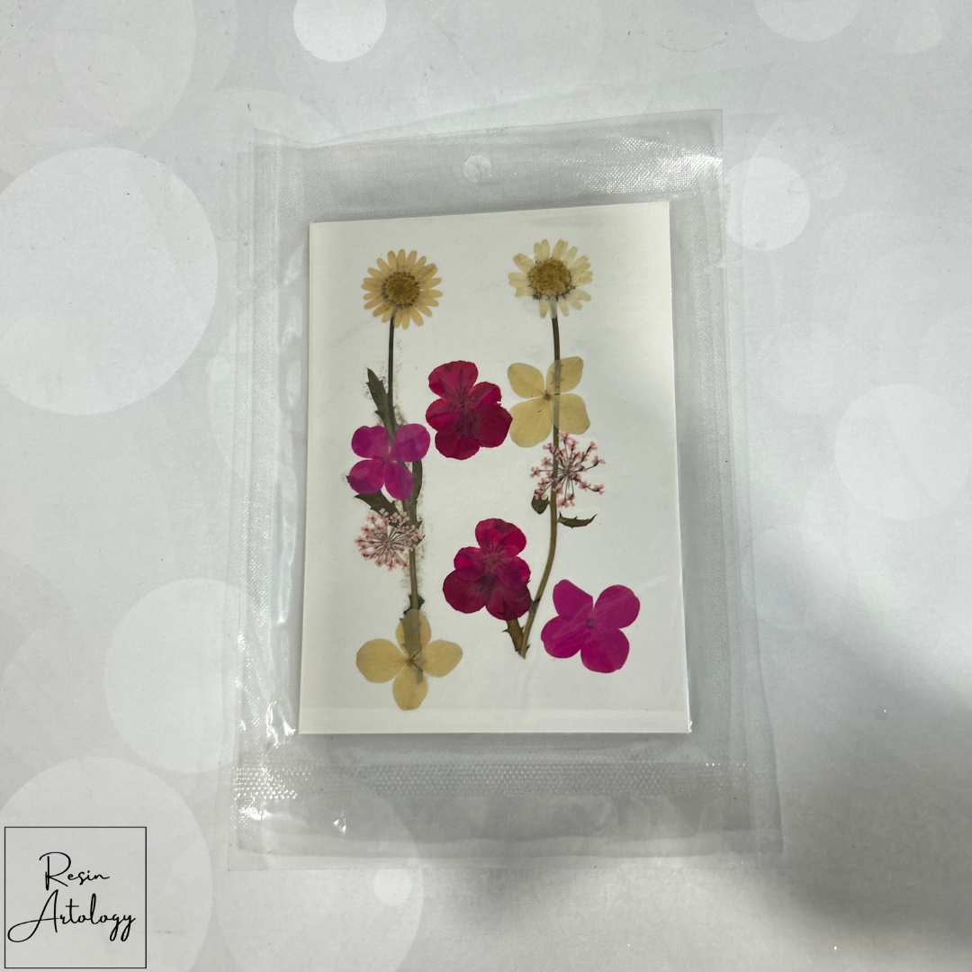 10 In 1 Dry Pressed Flowers Pink and white