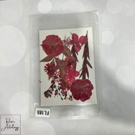 15 In 1 Dry Pressed Flowers orange red
