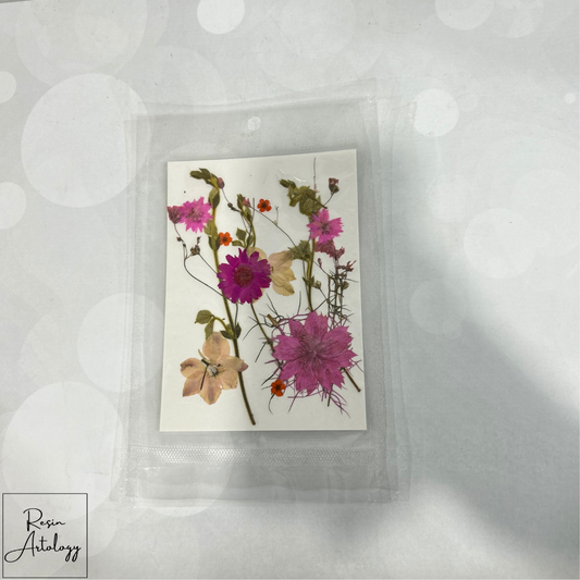 15 In 1 Dry Pressed Flowers Pink