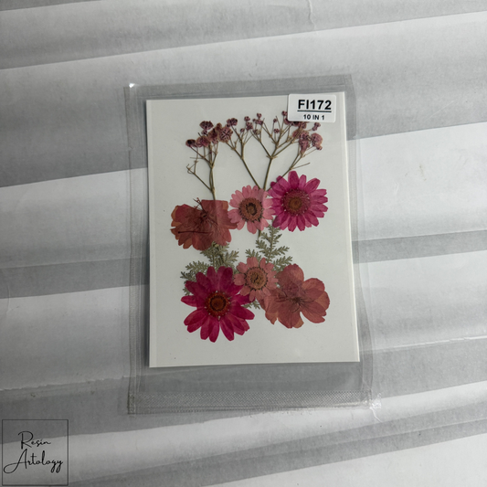 10 in 1 Pressed Flower ( MAGENTA )