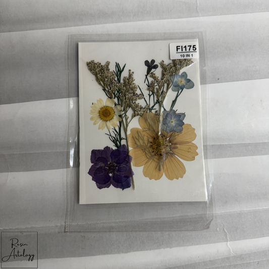10 in 1 Pressed Flower ( OFF WHITE WITH PURPLE )