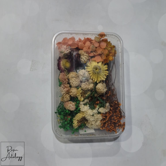 dry flower box 11