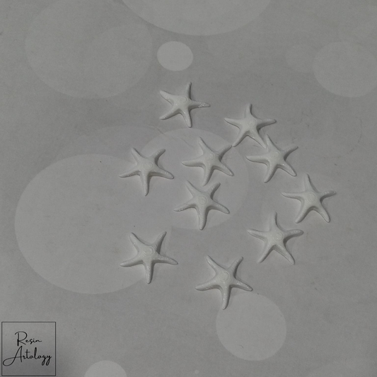 STAR FISH MINIATURE