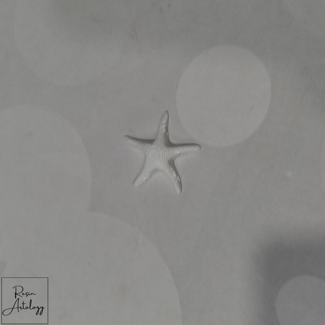STAR FISH MINIATURE