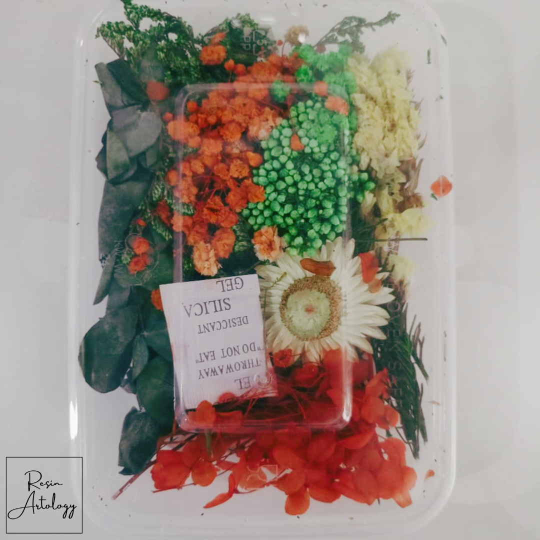 DRY FLOWER BOX 20