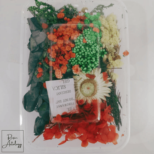 DRY FLOWER BOX 20