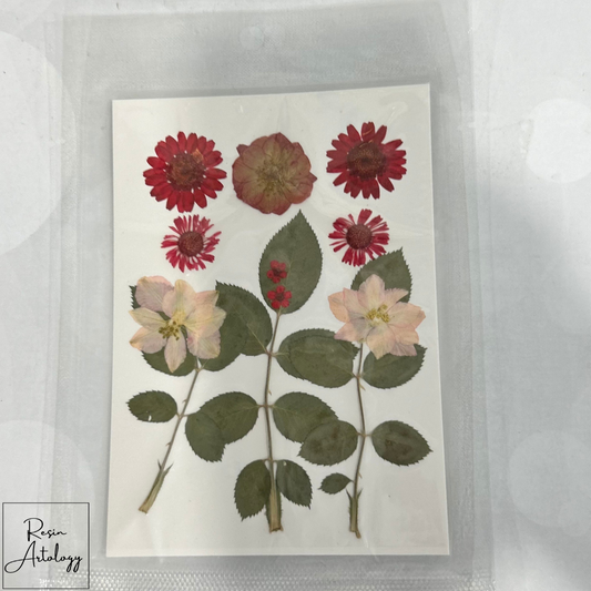 12 In 1 Dry Pressed Flowers ( Red )