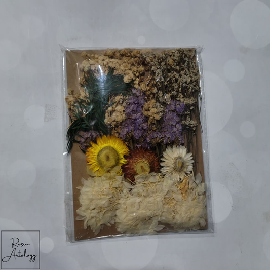 DRY FLOWER SHEET 01